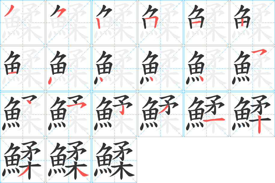 鰇字的笔顺分布演示