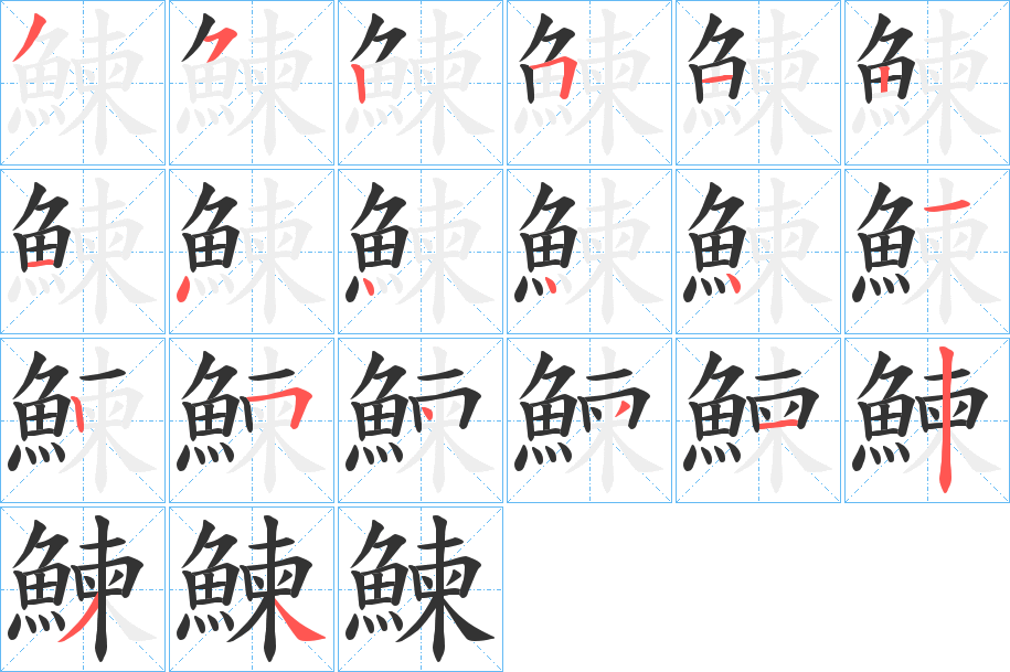 鰊字的笔顺分布演示