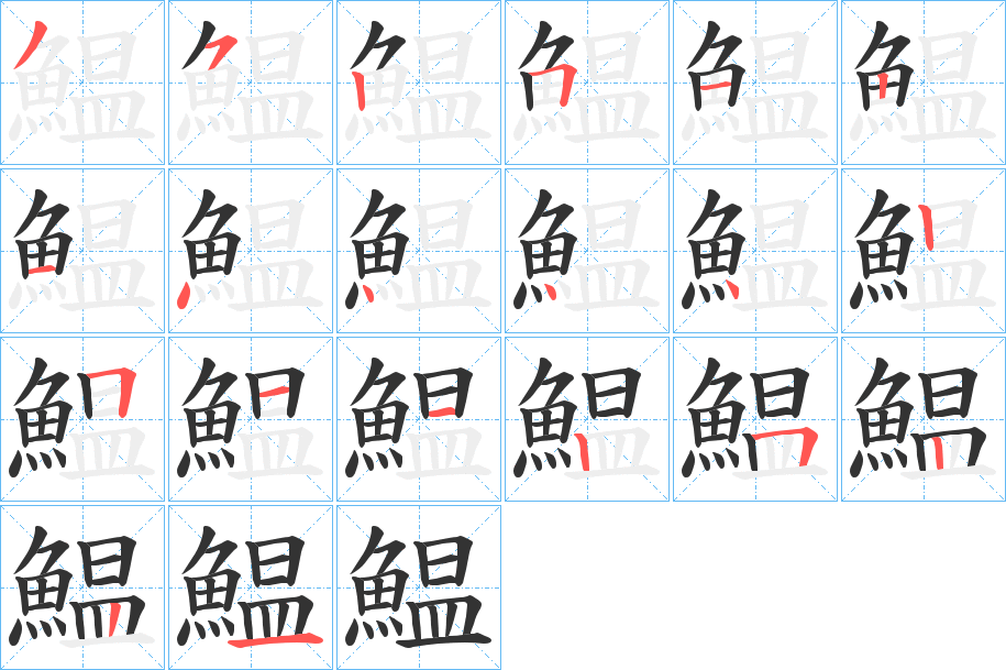 鰛字的笔顺分布演示