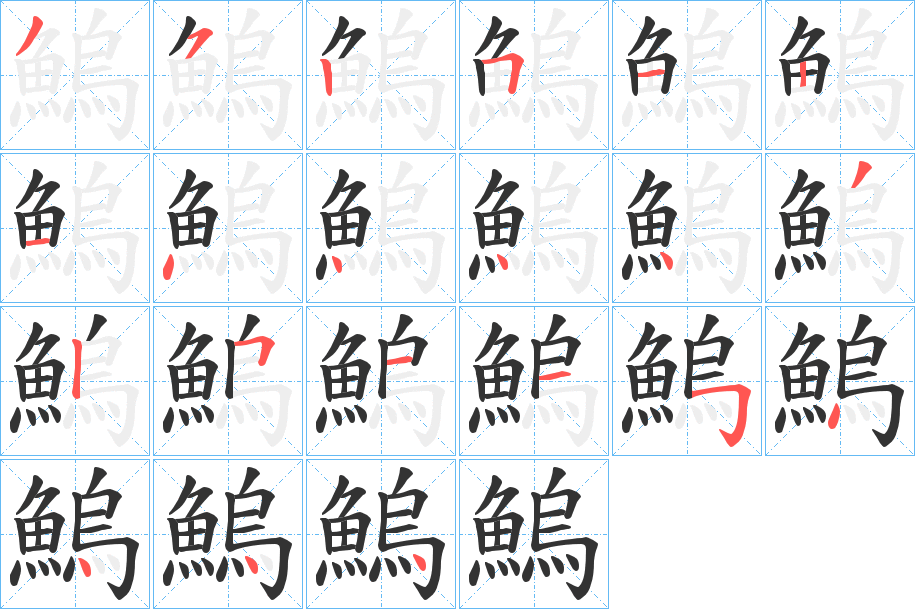 鰞字的笔顺分布演示