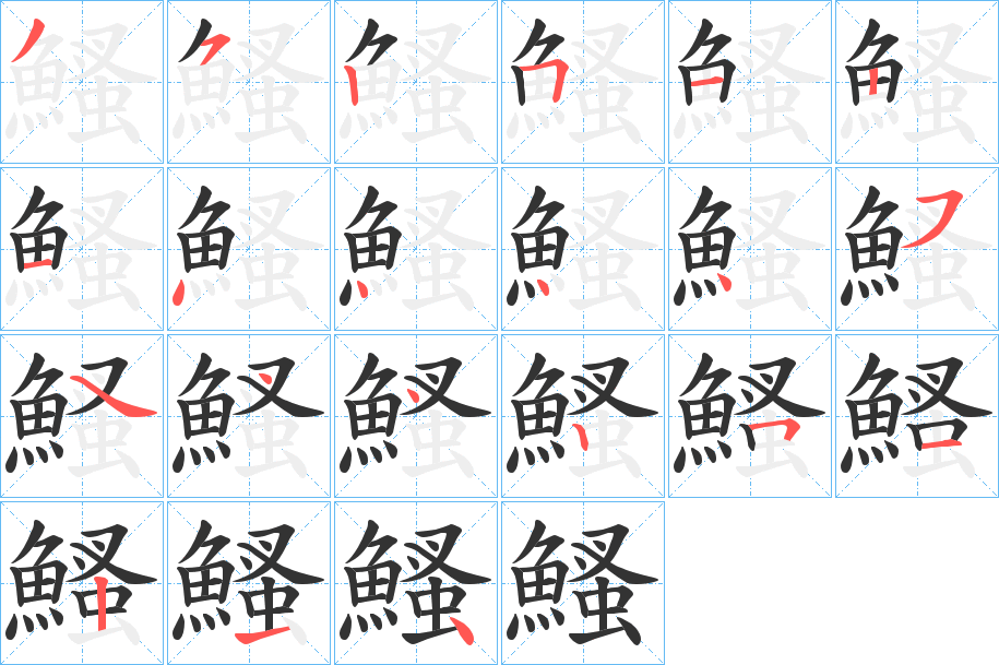 鰠字的笔顺分布演示