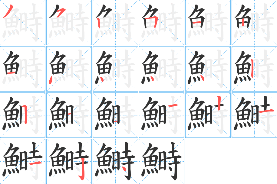 鰣字的笔顺分布演示