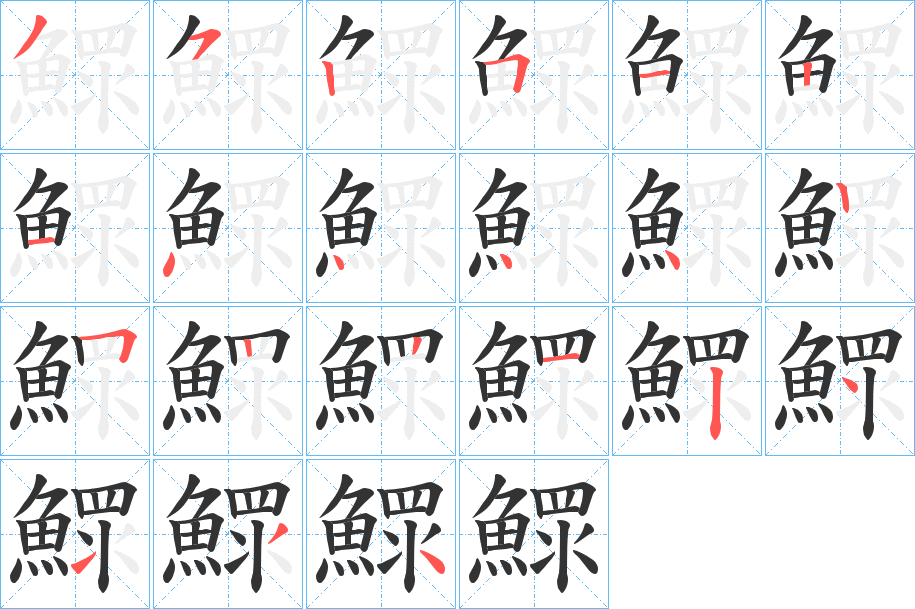 鰥字的笔顺分布演示