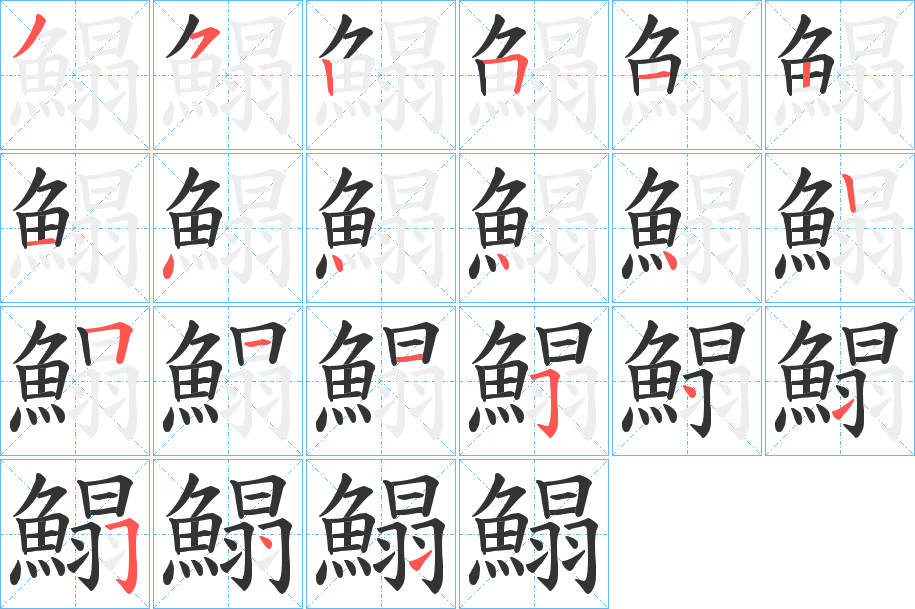 鰨字的笔顺分布演示