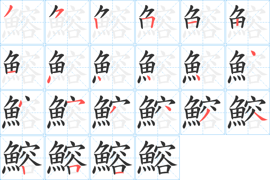 鰫字的笔顺分布演示