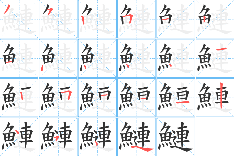 鰱字的笔顺分布演示