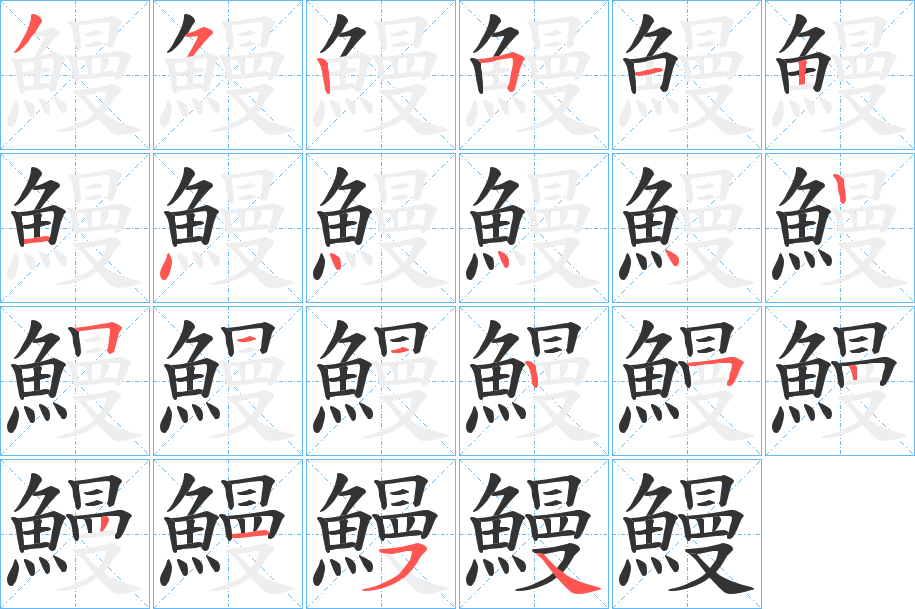 鰻字的笔顺分布演示