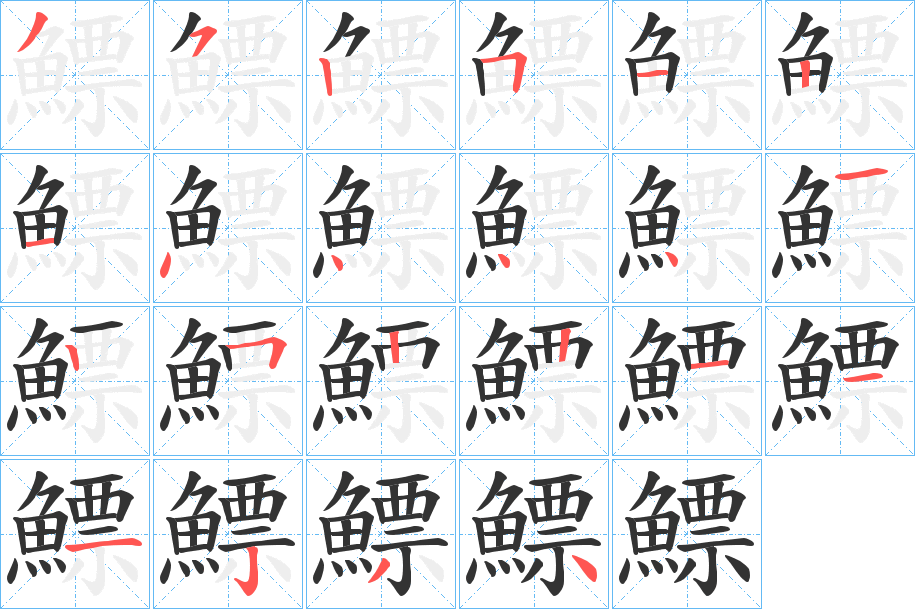 鰾字的笔顺分布演示