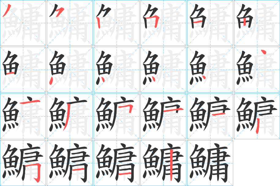 鱅字的笔顺分布演示