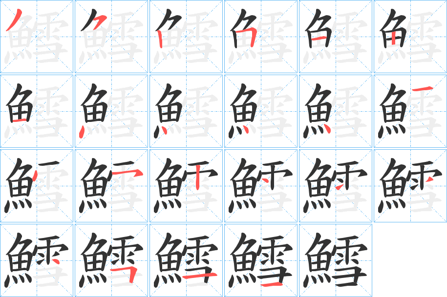 鱈字的笔顺分布演示