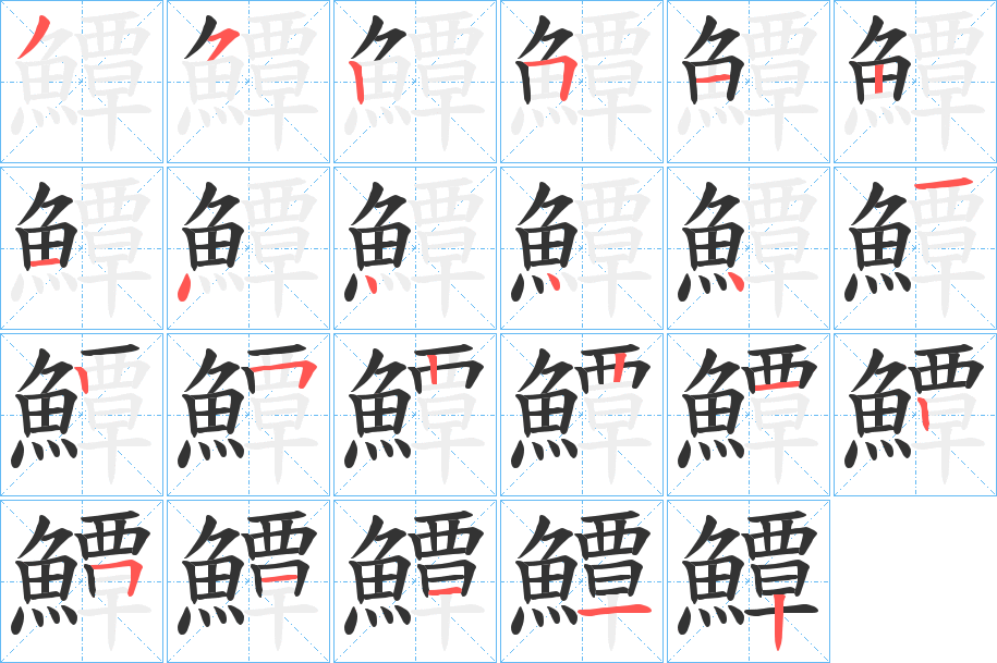 鱏字的笔顺分布演示