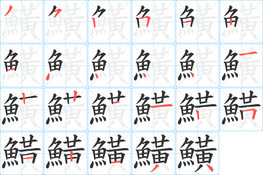 鱑字的笔顺分布演示