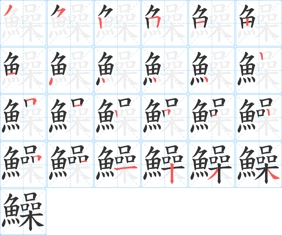 鱢字的笔顺分布演示