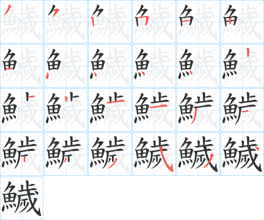 鱥字的笔顺分布演示