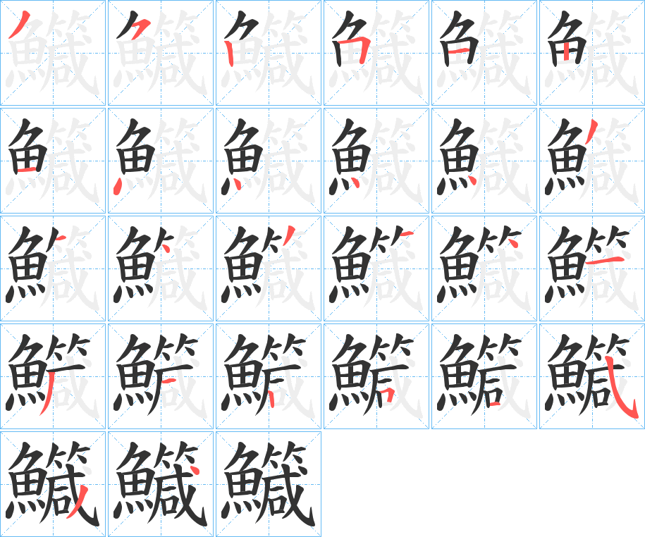 鱵字的笔顺分布演示