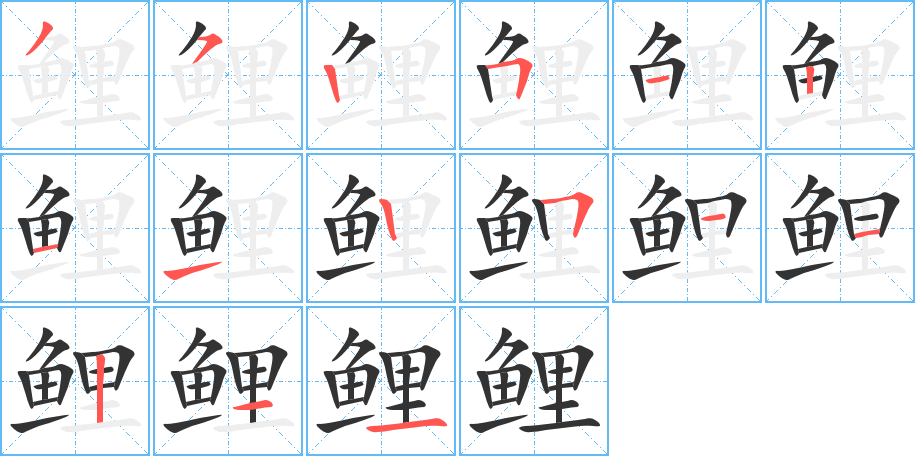 鲤字的笔顺分布演示