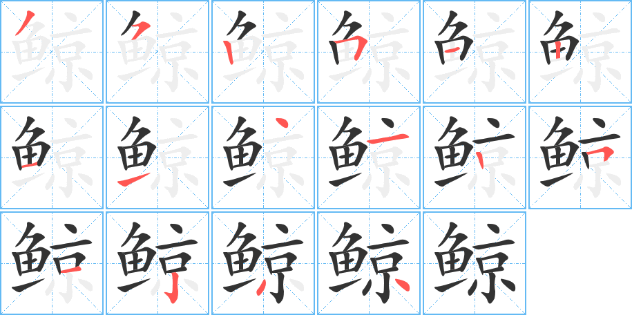 鲸字的笔顺分布演示