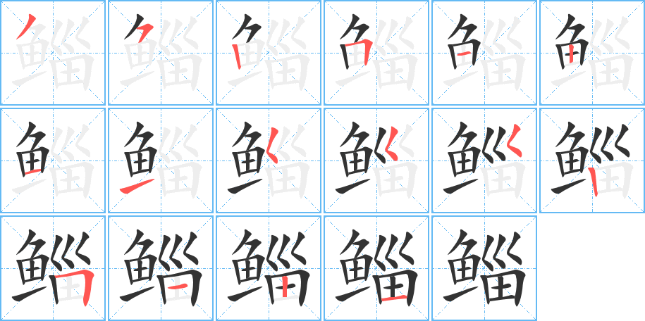 鲻字的笔顺分布演示