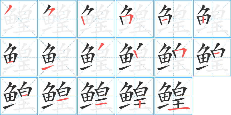 鳇字的笔顺分布演示