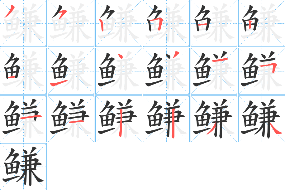 鳒字的笔顺分布演示