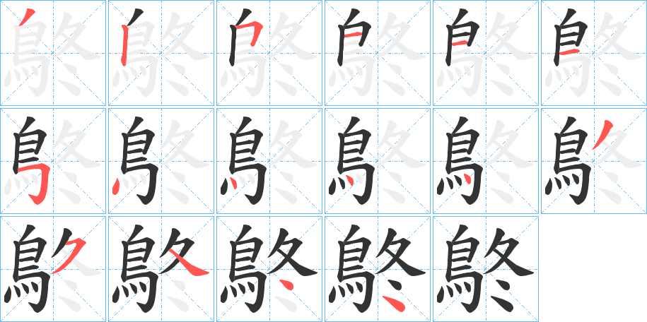 鴤字的笔顺分布演示