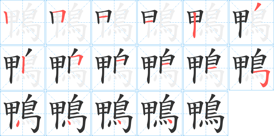 鴨字的笔顺分布演示