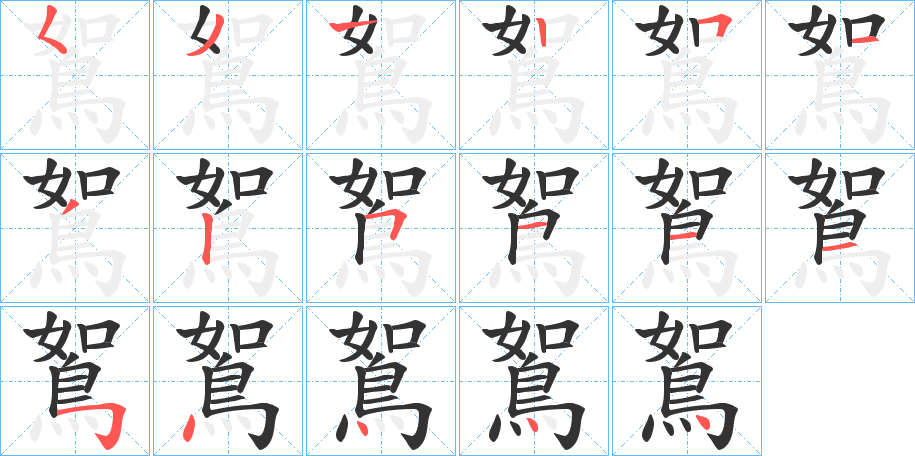 鴽字的笔顺分布演示