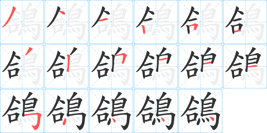 鴿字的笔顺分布演示