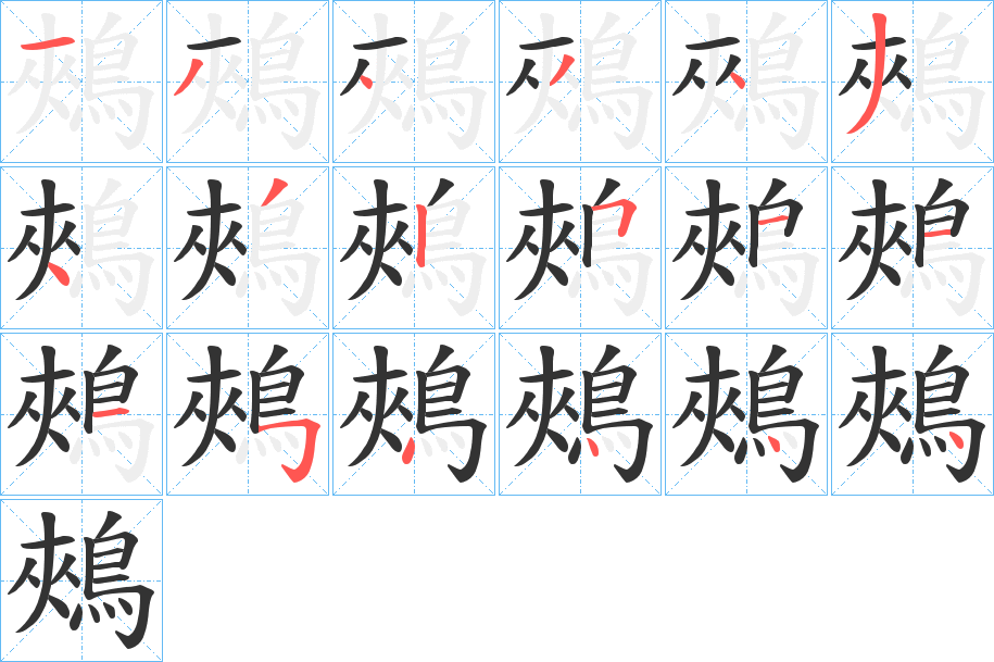 鵊字的笔顺分布演示