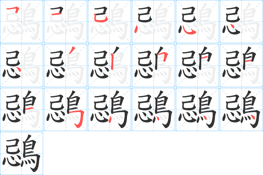 鵋字的笔顺分布演示