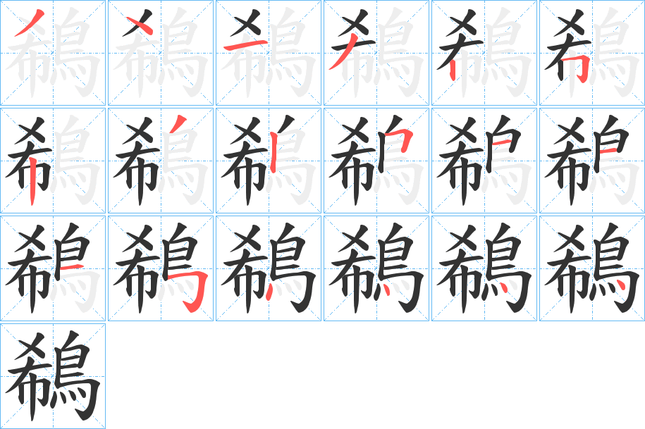 鵗字的笔顺分布演示