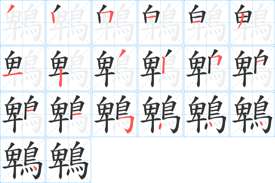 鵯字的笔顺分布演示