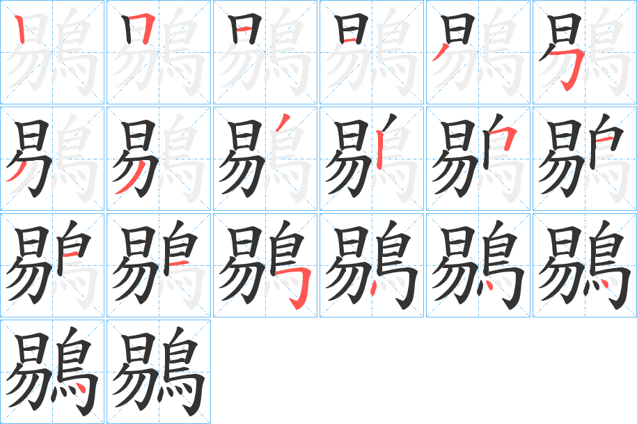 鶍字的笔顺分布演示