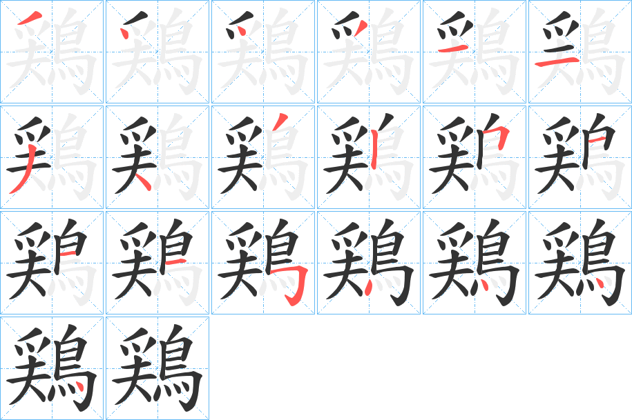 鶏字的笔顺分布演示