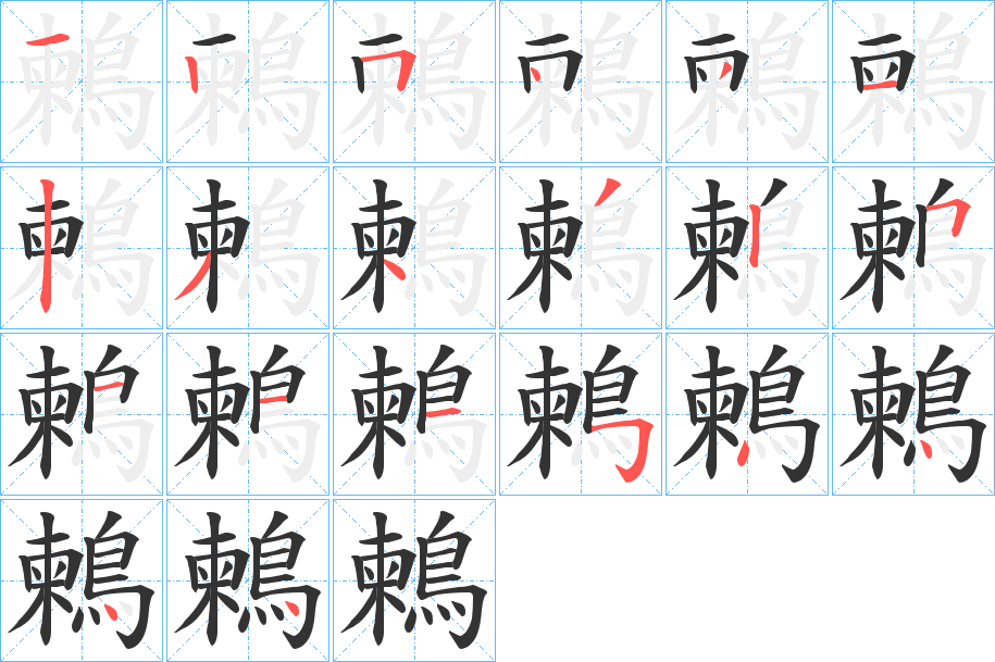 鶫字的笔顺分布演示