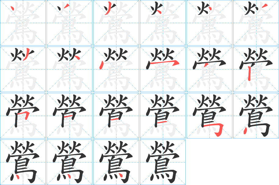 鶯字的笔顺分布演示