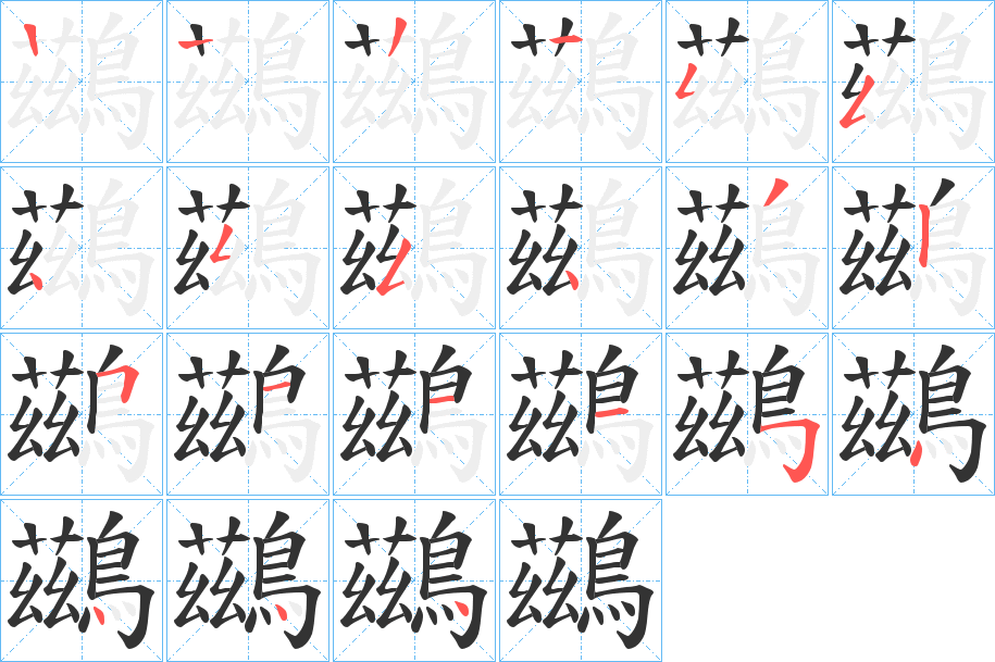 鷀字的笔顺分布演示