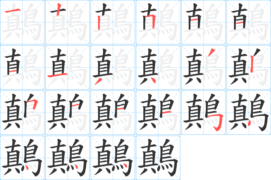 鷏字的笔顺分布演示