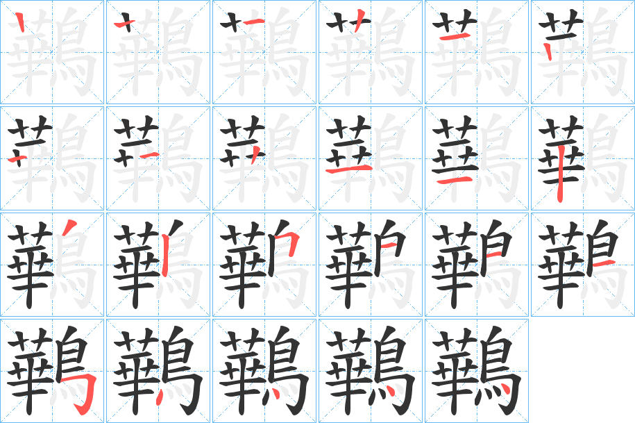 鷨字的笔顺分布演示