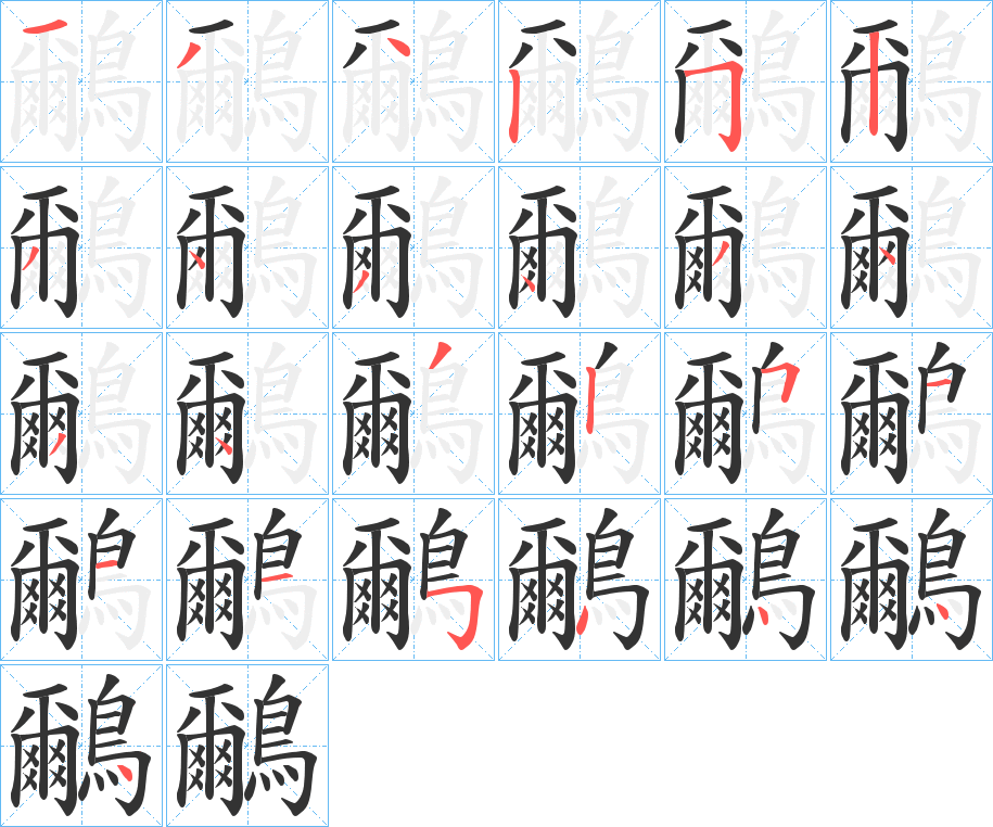 鸍字的笔顺分布演示