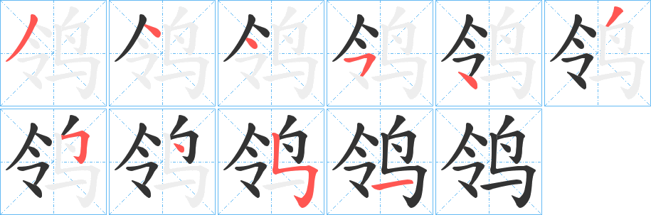 鸰字的笔顺分布演示