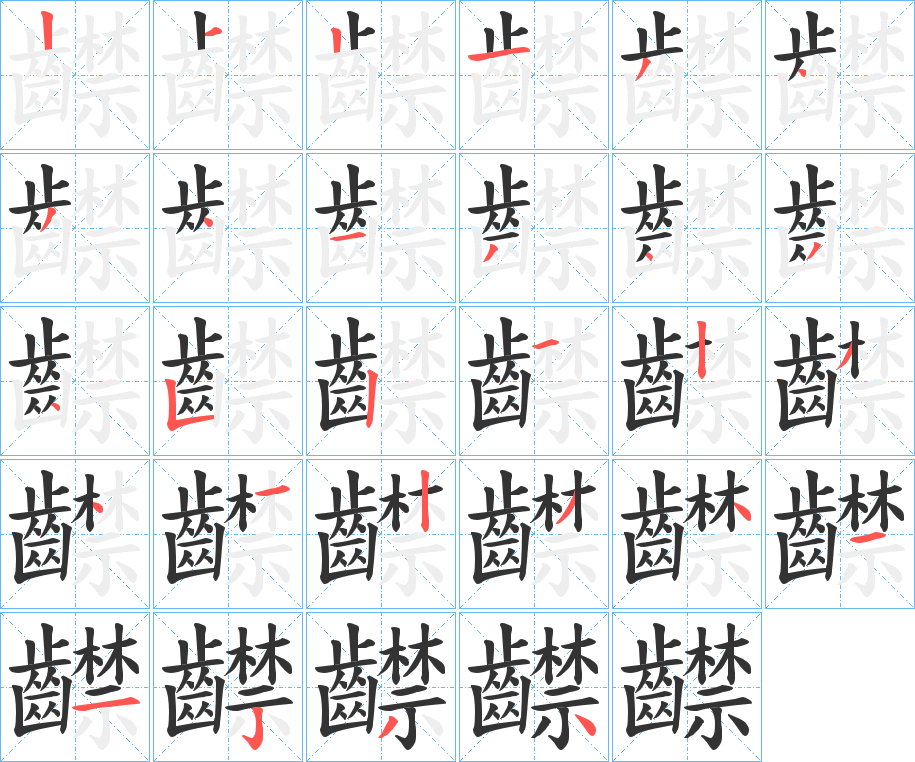 齽字的笔顺分布演示